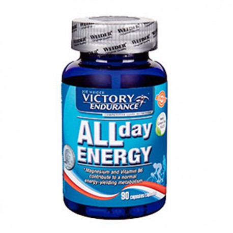 ALL DAY ENERGY BOTE 90UDS WVE.113100